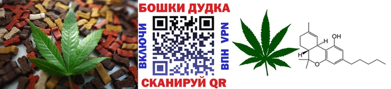 где купить наркотик  Инсар  Canna-Cookies конопля 