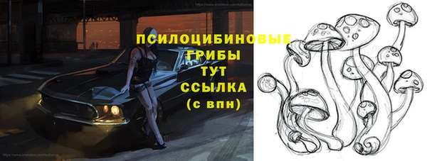 МДМА Новодвинск