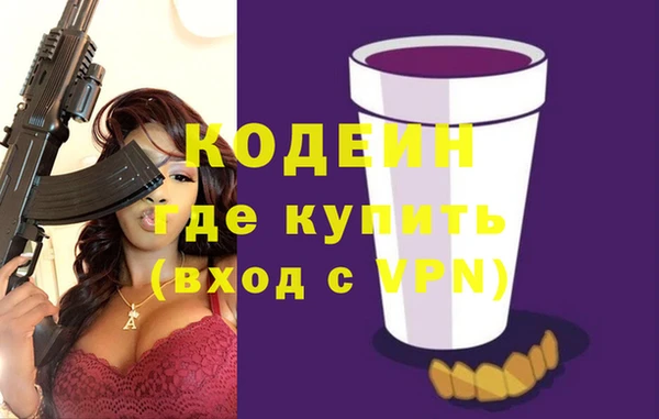 молекула духа Новозыбков