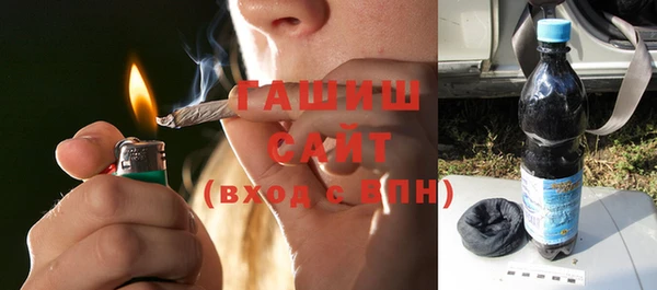 молекула духа Новозыбков