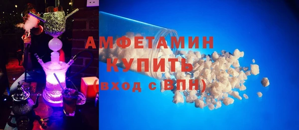 молекула духа Новозыбков