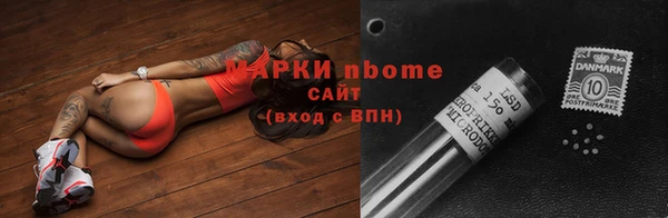 молекула духа Новозыбков