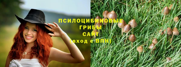 трава Арсеньев