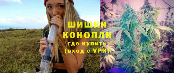 молекула духа Новозыбков