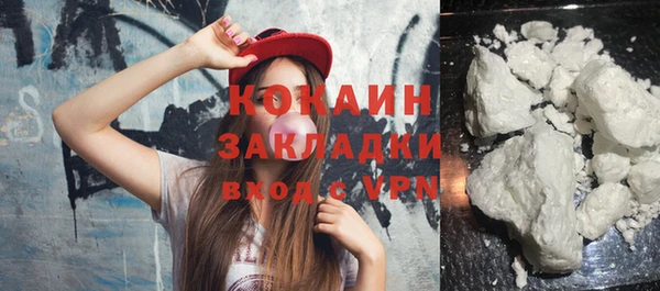 молекула духа Новозыбков