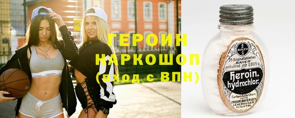 молекула духа Новозыбков