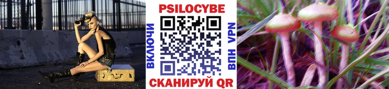 Псилоцибиновые грибы MAGIC MUSHROOMS  мориарти официальный сайт  Инсар  сколько стоит 